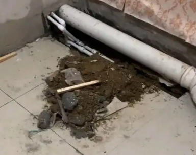 甘谷卫生间漏水检测哪家好