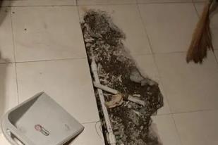 甘谷卫生间漏水检测电话